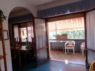 Fronte mare zona bagno delfino