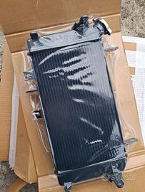 radiatore acqua moto suzuki