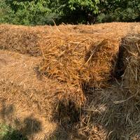 ballette di paglia per uso animale