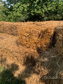 ballette di paglia per uso animale