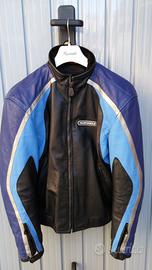 Giubbotto Pelle Spidi , Paraschiena, Pettorina