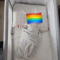 culla tipo Next to me