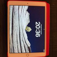 IPad 7ª Gen 32GB Bianco Come Nuovo