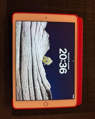 IPad 7ª Gen 32GB Bianco Come Nuovo