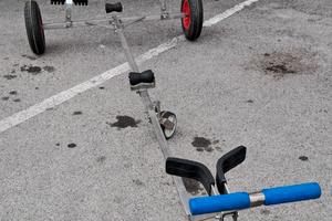 Carrello alaggio