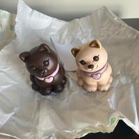 Coppie Gatti Thun Bauli