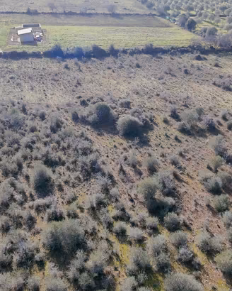 Terreni edificabili - USINI