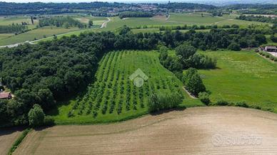 TER. AGRICOLO A CAVRIANA