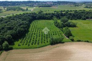 TER. AGRICOLO A CAVRIANA