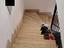 Immagine 19