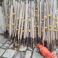 Recinzio anti cinghiali