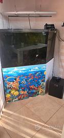 acquario marino completo