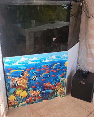 acquario marino completo