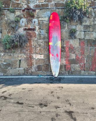 longboard 10.8