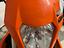Immagine 4