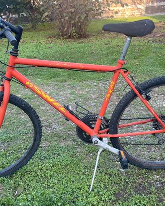 Bicicletta SWEL