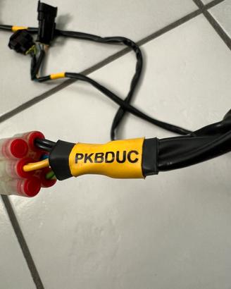 Cablaggio PKBDUC per quick shifter starlane ducati