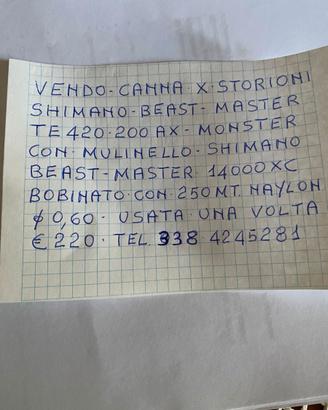 CANNA DA PESCA X STORIONI SHIMANO