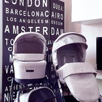 Set SYSTEM QUATTRO ELECTA di Inglesina