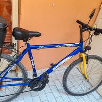 bicicletta Mountain bike 