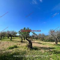 Casa, Termini Imerese.