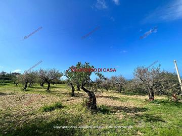 Casa, Termini Imerese.