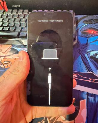 Iphone 13  come ricambi