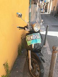 Beverly 500