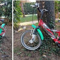 Bicicletta bambino 5-8 anni