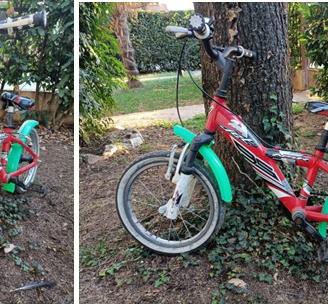 Bicicletta bambino 5-8 anni