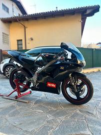 APRILIA RS 50 REPLICA