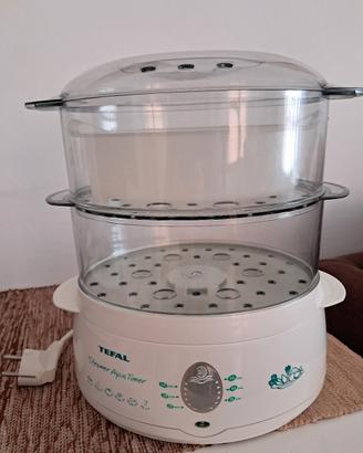 Vaporiera Tefal
