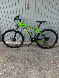 Bicicletta mountain bike