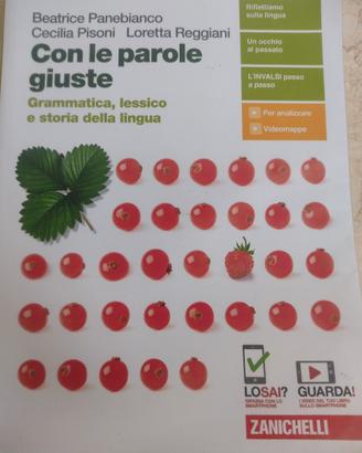 Con le parole giuste grammatica italiana