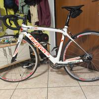 bici in carbonio Wilier Gtr 