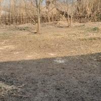 Terreno, Mondragone "DOMIZIANA"