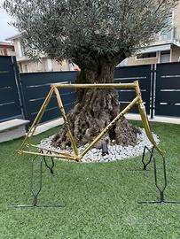 Colnago super gold taglia 56