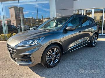 FORD Kuga 3ª serie Kuga 1.5 EcoBlue 120 CV 2WD...