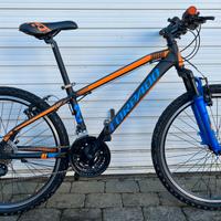 Torpado Jaguaro 24" - Bicicletta mtb ragazzo