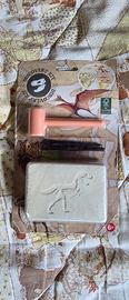 discovery kit dinosauri 