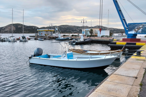 Motoscafo per la Pesca