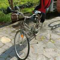 bicicletta bici tipo olandese con cambio