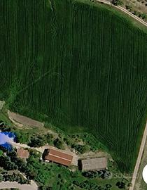 Terreni agricoli