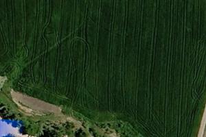 Terreni agricoli