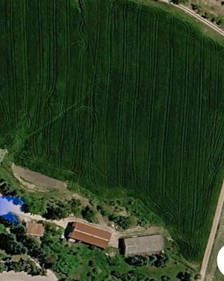 Terreni agricoli