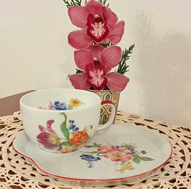 Tazza da tè con piatto porcellana Limoges