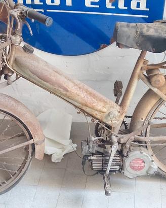 mosquito 38cc