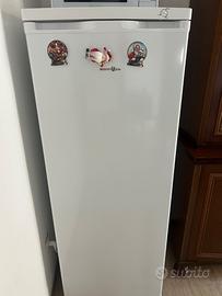 Congelatore smartway