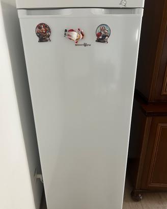 Congelatore smartway