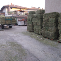 Fieno in ballette